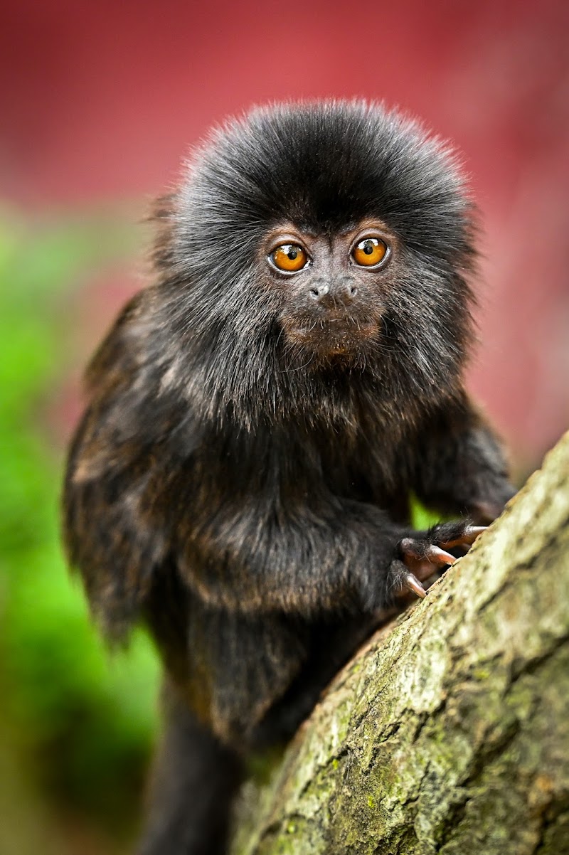 Bowlingbaan Hof van Eckberge in Eibergen - Interieur en faciliteiten