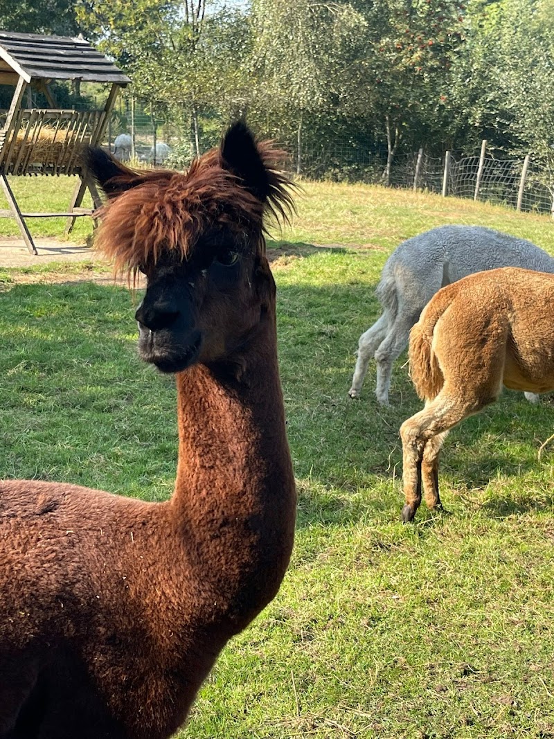 Hof van Eckberge bowlingcentrum Eibergen - foto 3
